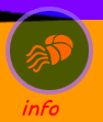 info